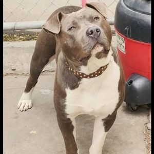 Meet your Posher, Cristian